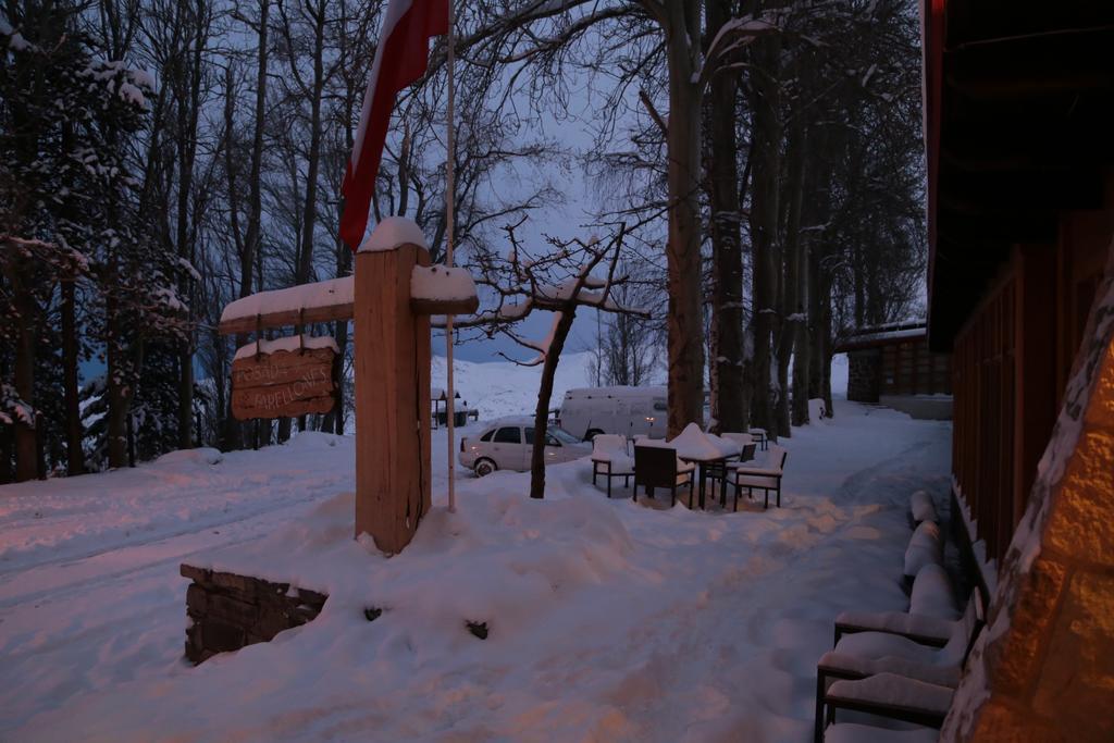 Hotel Posada Farellones Dış mekan fotoğraf